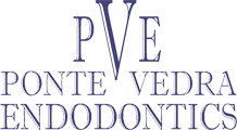 Ponte Vedra Endodontics